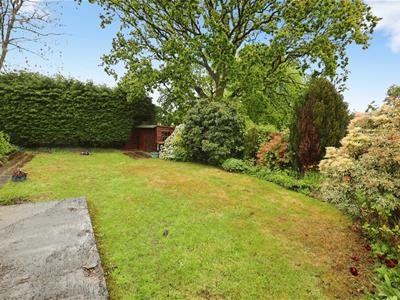 Picture 20